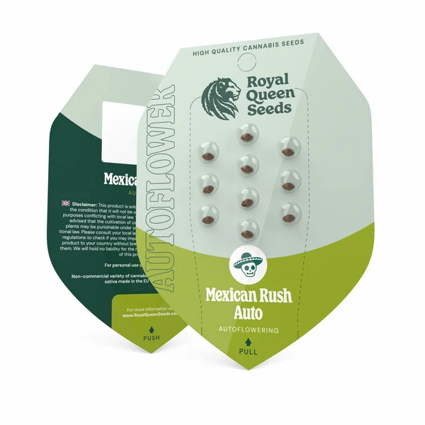 Royal Queen Seeds – Mexican Rush Auto Feminized Seeds (Sativa) - 3 Seeds - Image 2